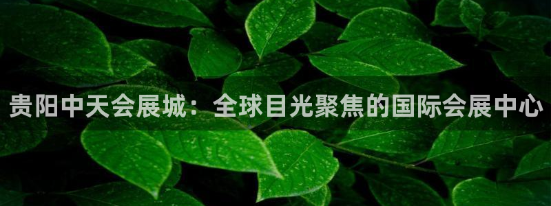 果博平台开户电话查询：贵阳中天会展城：全
