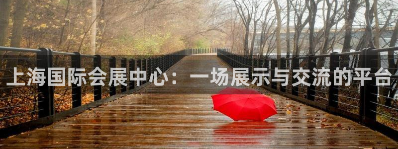 果博平台开户电话号码：上海国际会展中心：一场展示与交流的平台