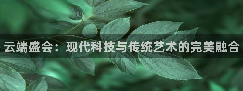 果博注册充值怎么退款：云端盛会：现代科技与传统艺术的完美融合