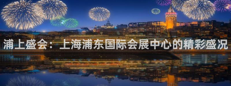 果博手机版官方下载：浦上盛会：上海浦东国际会展中心的精彩盛况