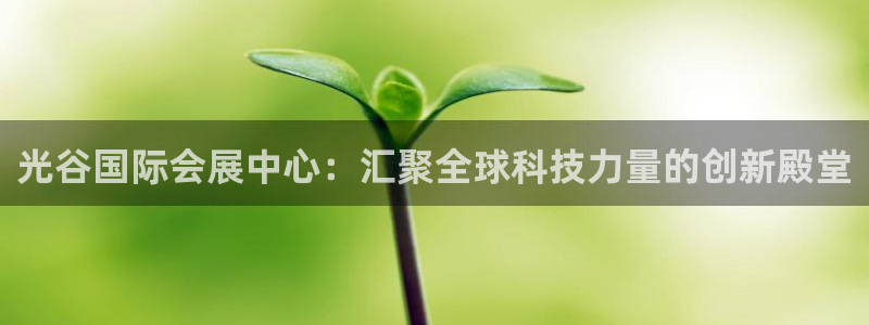 果博平台开户电话是多少