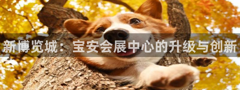 果博账号注册：新博览城：宝安会展中心的升级与创新