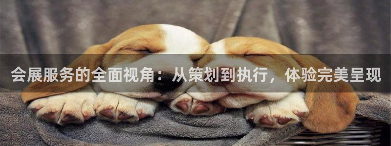 果博代理：会展服务的全面视角：从策划到执行，体验完美呈现