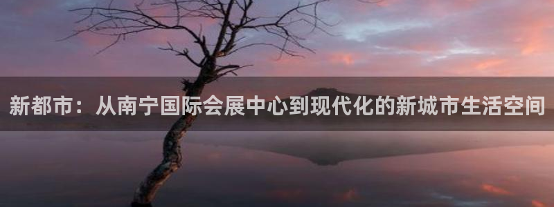 苹果电脑怎么下载博弈大师等软件：新都市：从南宁国际会展中心到现代化的新城市生活空间