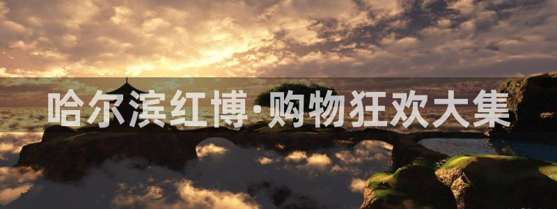 果博公司：哈尔滨红博·购物狂欢大集