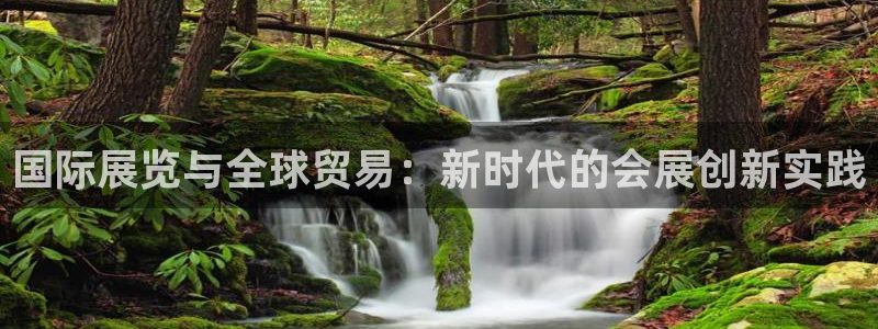 电脑怎么下载果考网：国际展览与全球贸易：新时代的会展创新实践