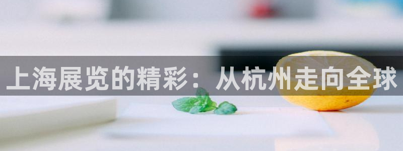 果博公司会员开户：上海展览的精彩：从杭州走向全球