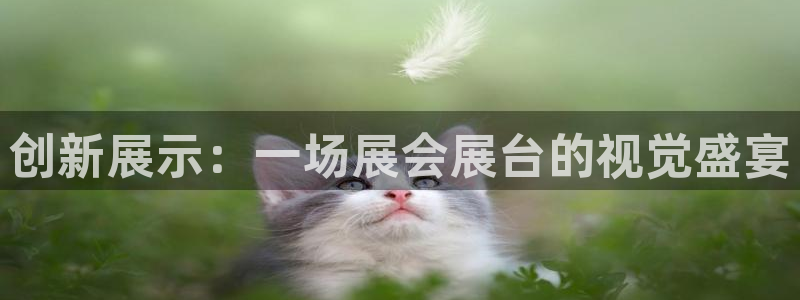 果博平台真实吗安全吗可信吗可靠吗：创新展示：一场展会展台的视觉盛宴
