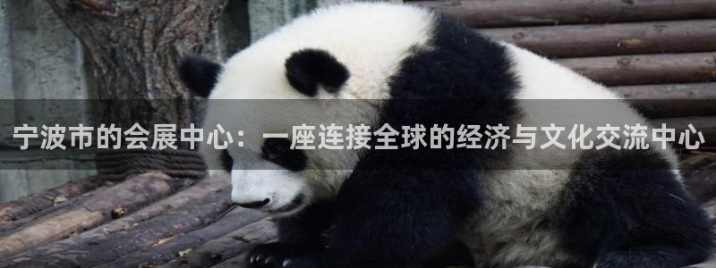 果博公司客服微信：宁波市的会展中心：一座连接全球的经济与文化交流中心