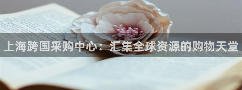 果博公司客服联系方式：上海跨国采购中心：汇集全球资源的购物天堂