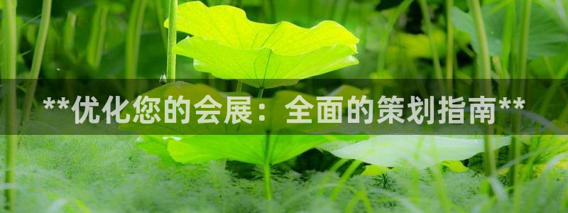 苹果电脑可以下载博易大师吗：**优化您的会展：全面的策划指南**