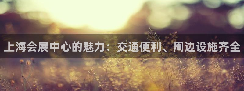 果博客服电话多少：上海会展中心的魅力：交