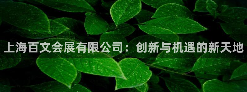 果博手机下载网址：上海百文会展有限公司：创新与机遇的新天地