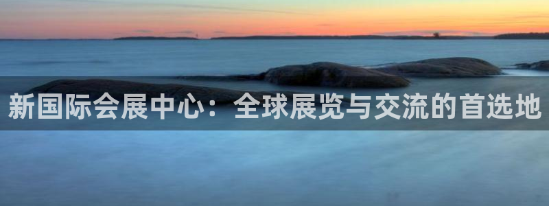 果博公司客服怎么样：新国际会展中心：全球展览与交流的首选地