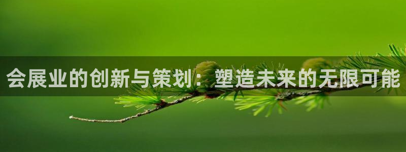 果博有假吗：会展业的创新与策划：塑造未来的无限可能