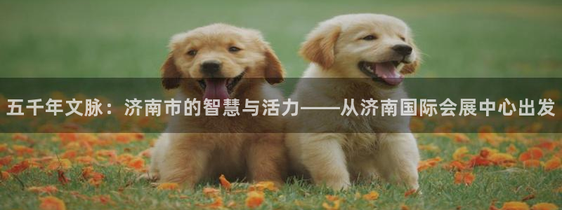 果博平台真实吗安全吗：五千年文脉：济南市的智慧与活力——从济南国际会展中心出发