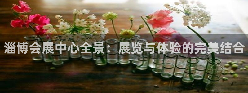 苹果手机能下载果博吗：淄博会展中心全景：展览与体验的完美结合