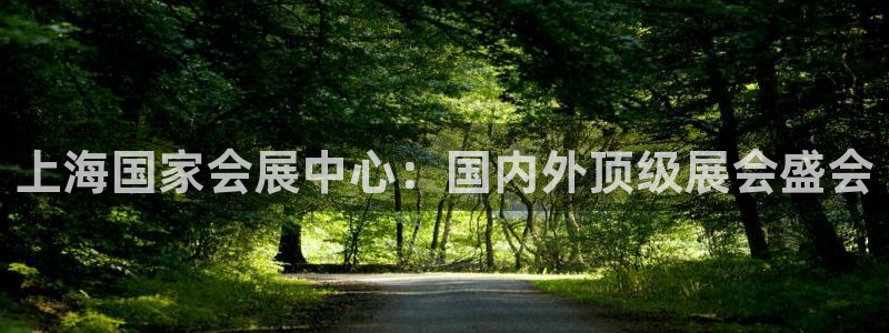 苹果电脑怎么下载伯索：上海国家会展中心：国内外顶级展会盛会