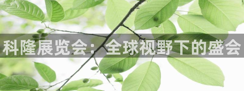果博公司会员注册账号：科隆展览会：全球视野下的盛会