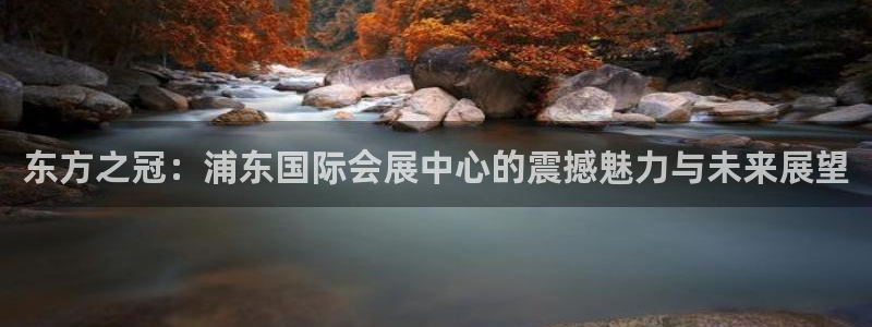 果博注册账号链接：东方之冠：浦东国际会展中心的震撼魅力与未来展望