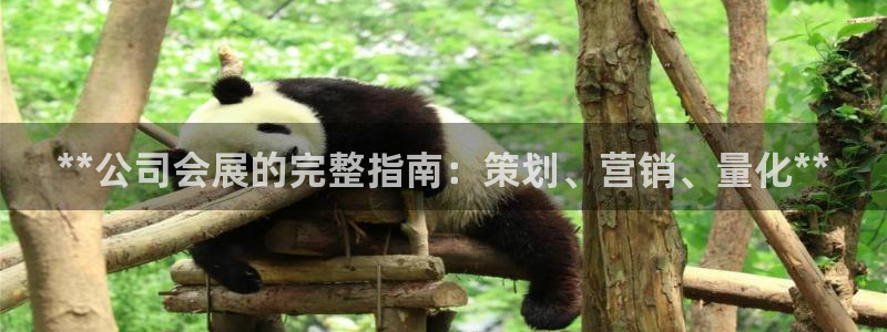 果博环保官网：**公司会展的完整指南：策划、营销、量化**