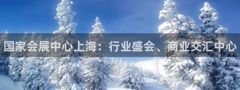 果博代理网：国家会展中心上海：行业盛会、