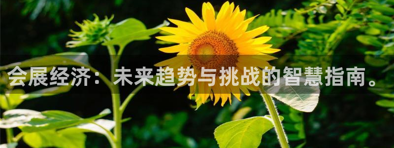 果搏代理：会展经济：未来趋势与挑战的智慧