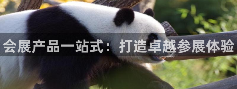 果博公司会员注册账号开户：会展产品一站式：打造卓越参展体验