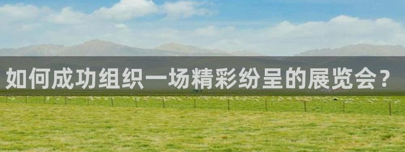 果博公司客服：如何成功组织一场精彩纷呈的