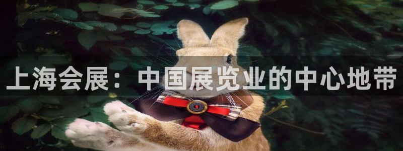 果博平台真实吗：上海会展：中国展览业的中