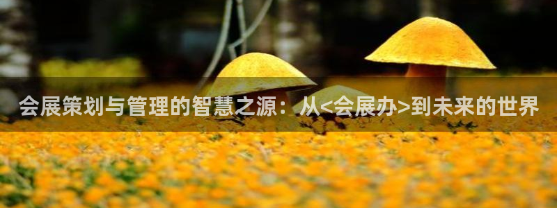 果博平台赖不赖：会展策划与管理的智慧之源