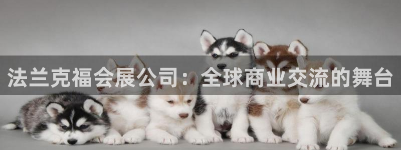 果博注册链接：法兰克福会展公司：全球商业交流的舞台