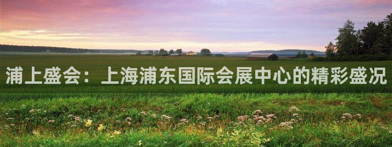 果博代理电话多少号码