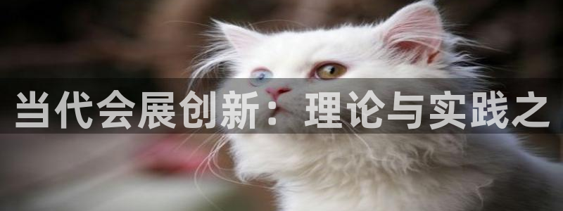 果博手机下载网址：当代会展创新：理论与实践之